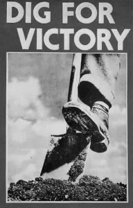 Dig for Victory 32, Aiden Brooks, CCL